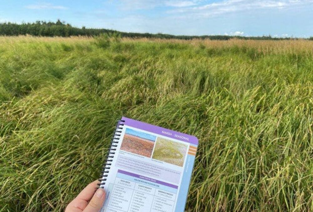 Grâce à ce guide, on peut apprendre à identifier les végétaux communs des milieux humides et les espèces fauniques.  