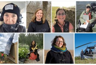 Huit expertes en STIM qui préservent les milieux humides du Canada