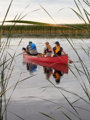 Harry J. Enns Wetland Discovery Centre