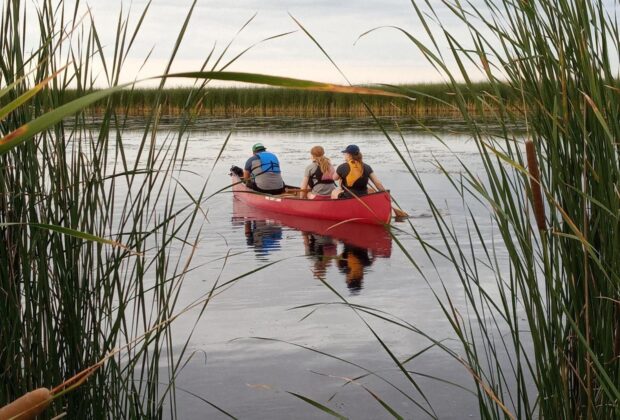 Un joyau des prairies : Marais Oak Hammock, Manitoba