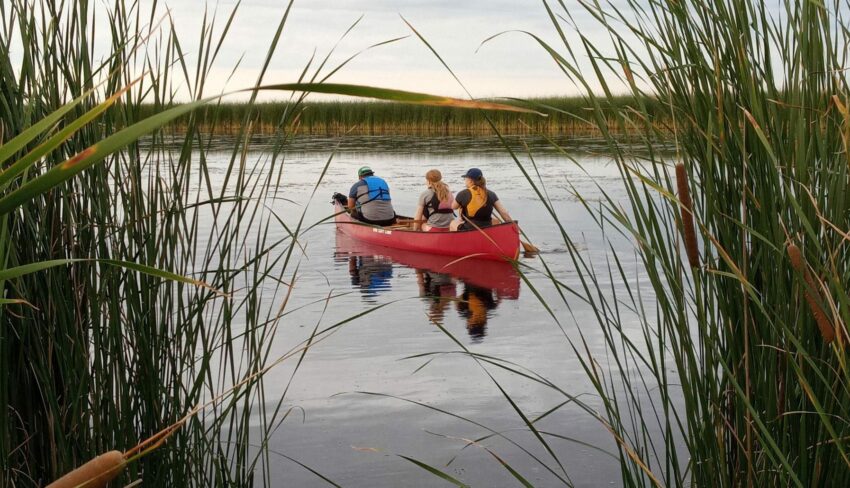 Un joyau des prairies : Marais Oak Hammock, Manitoba