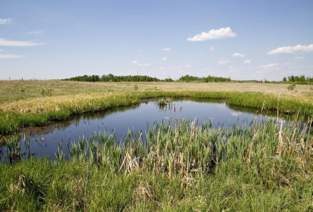 CIC affirme que la conservation et la restauration des milieux humides sont essentielles aux efforts du Canada pour atteindre les objectifs climatiques