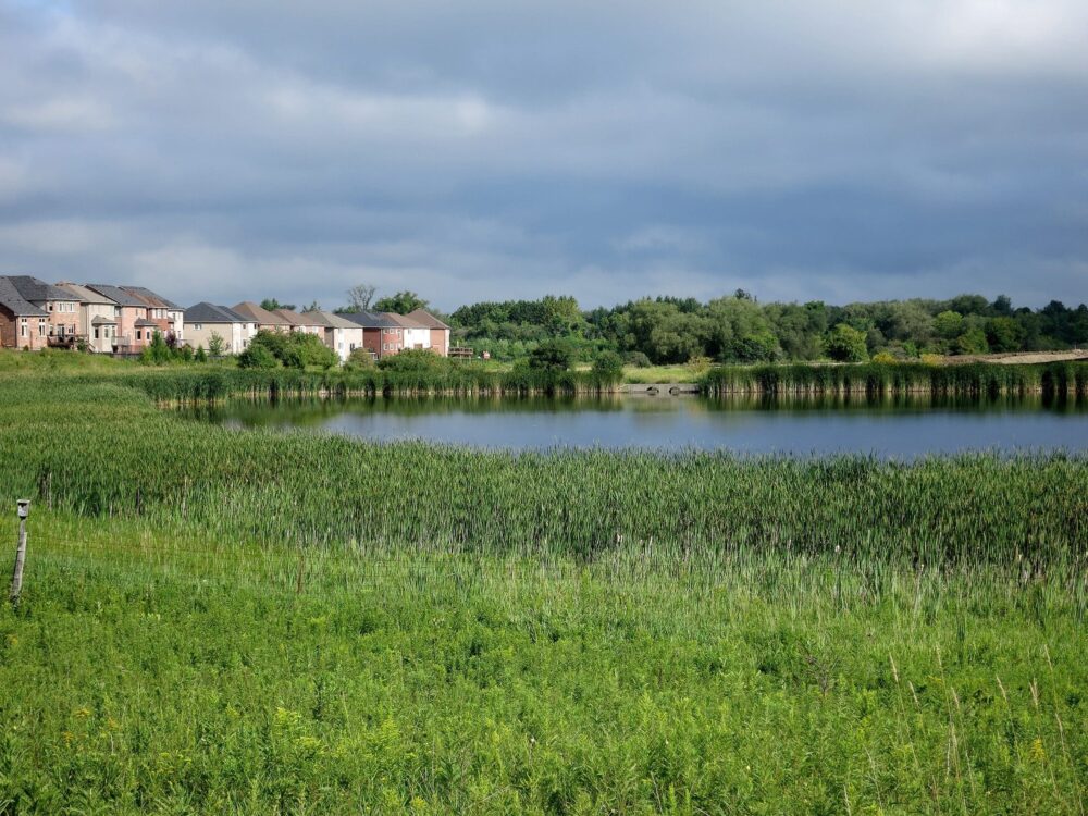 La Force de la nature représente un nouveau paradigme dans la résilience des bassins versants, grâce à un investissement sans précédent de l’industrie de l’assurance dans les infrastructures naturelles.