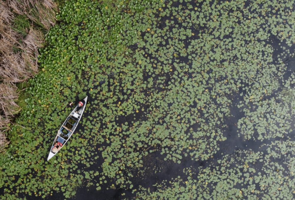 Image aérienne du personnel de CIC et d'un canot dans l'habitat de Wolfe Island 