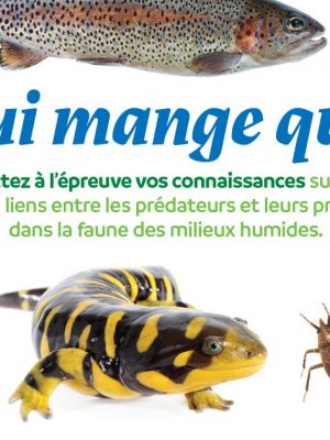 Qui mange qui?