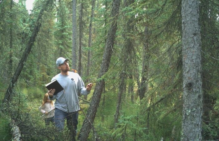 Captés dans leur élément, Sean Hoegy et sa fille Amelia réunissent des données environnementales dans les habitats de la forêt boréale de l’Alberta. 