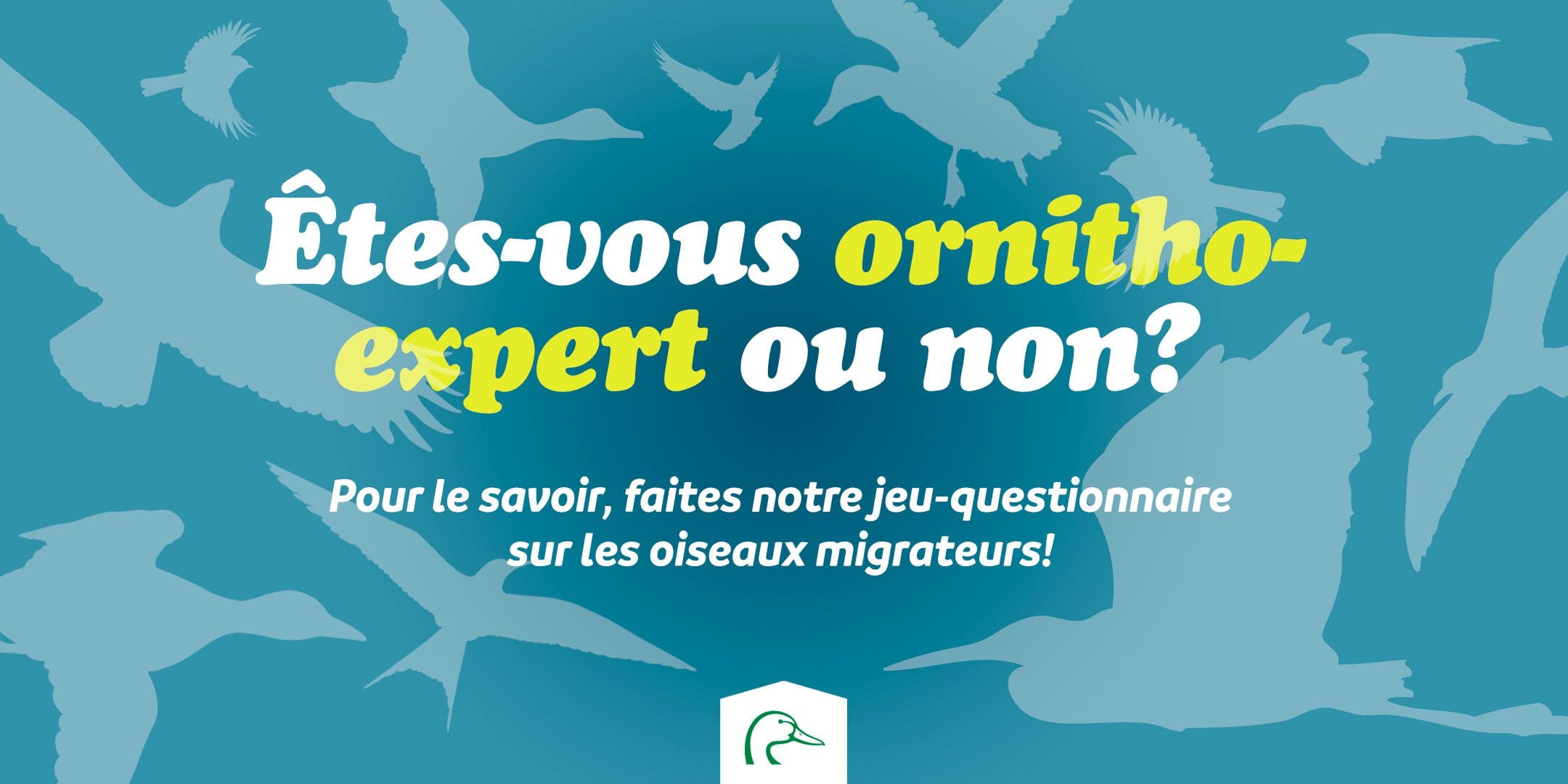 Êtes-vous ornitho-expert ou non