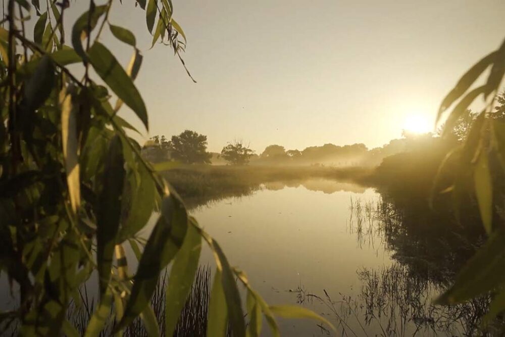 CIC apporte plus de 80 années de connaissances et d’expertise de la conservation sur le terrain pour appuyer les efforts du TNFD afin d’aider les entreprises à se pencher sur leurs perspectives et leurs risques environnementaux.