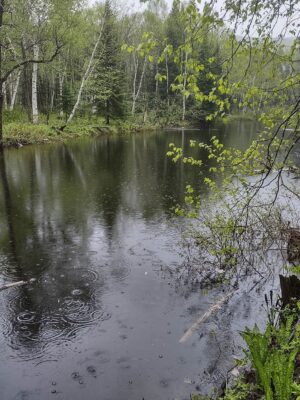 Projet Bas-Saint-Laurent  