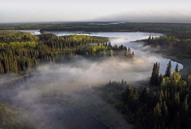 Les partenariats font avancer la cause de la conservation dans la forêt boréale