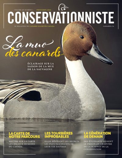 Le Conservationniste
