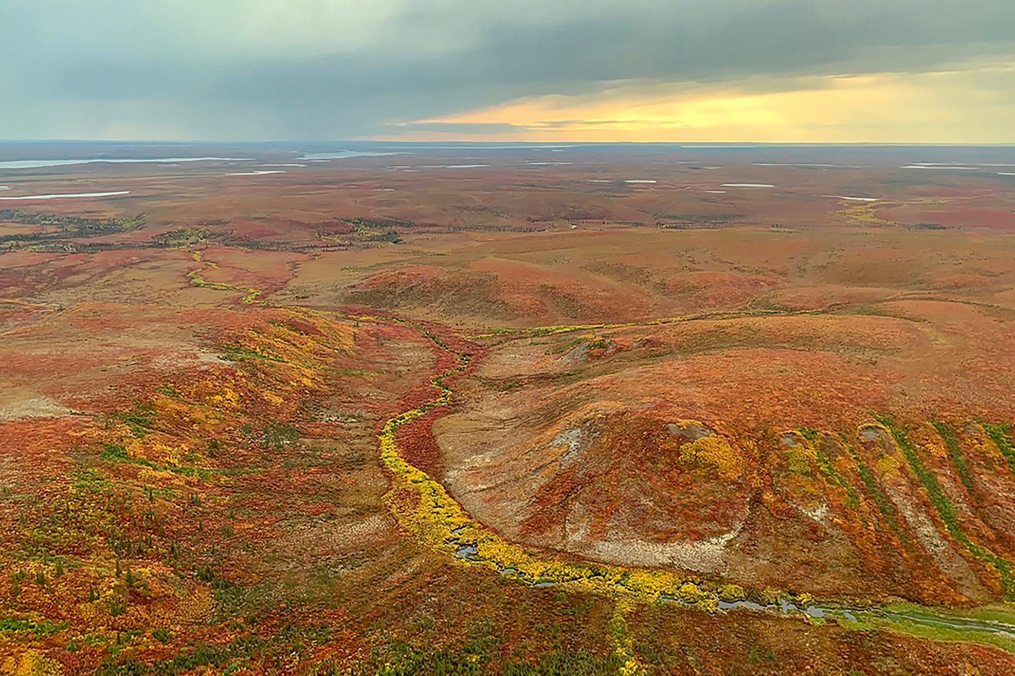 Peatlands in the Trail Valley Creek