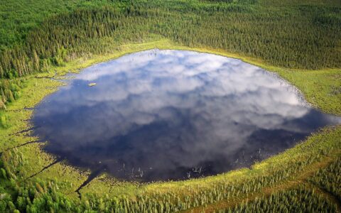 Le monde improbable des tourbières du Canada