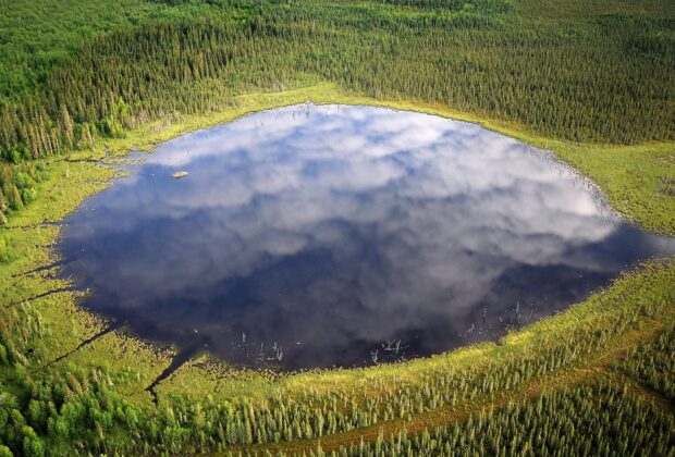 Le monde improbable des tourbières du Canada