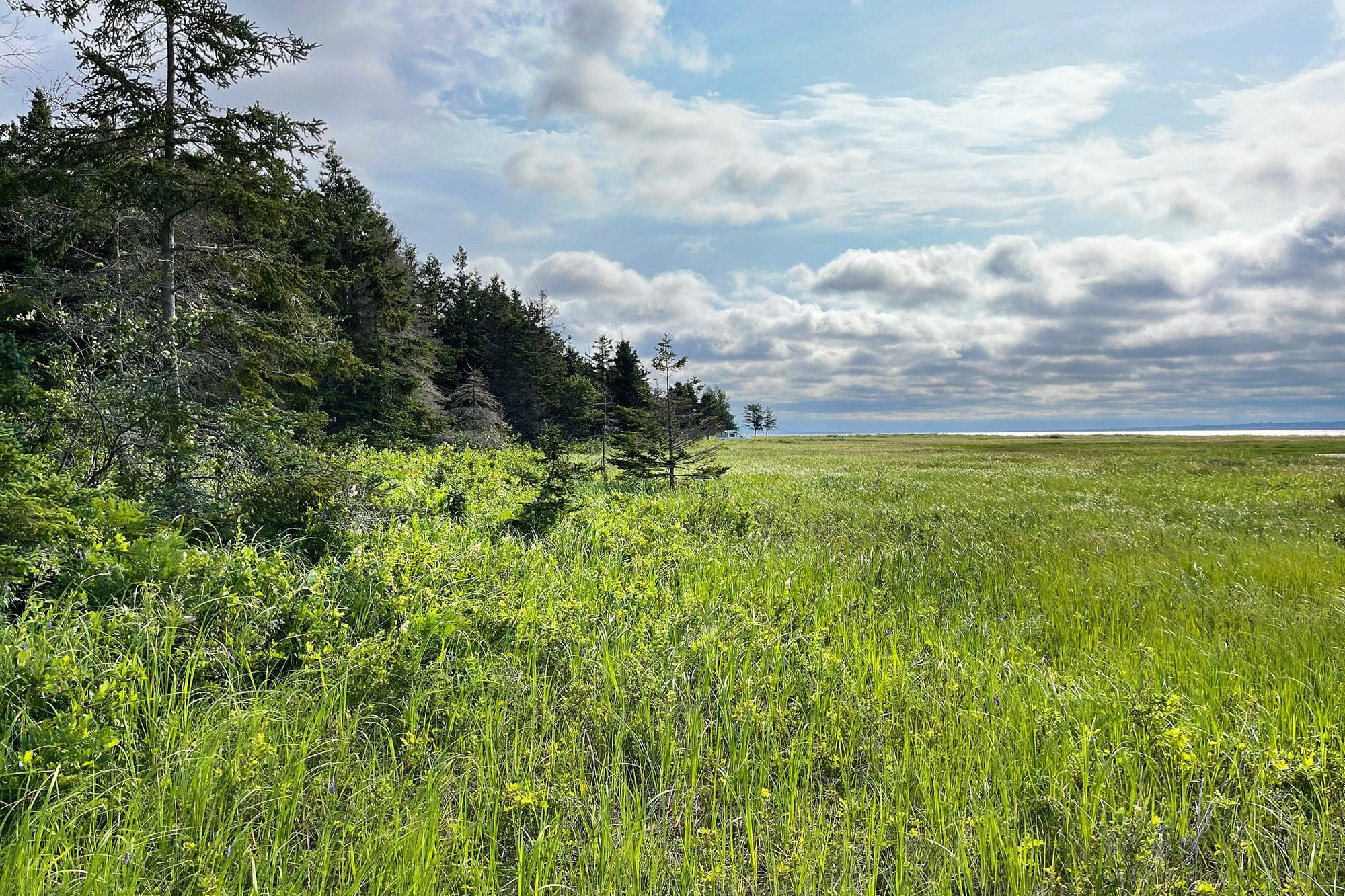 Alléger la pression — Ducks Unlimited Canada