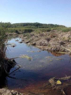 Fossés de drainage agricole