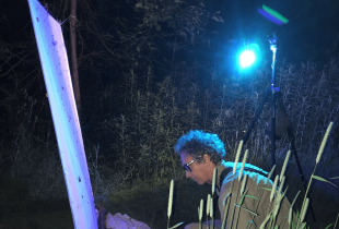 Entretien avec David Beadle, fervent des papillons de nuit