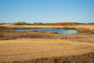 Les milieux humides apportent des solutions climatiques inspirées de la nature