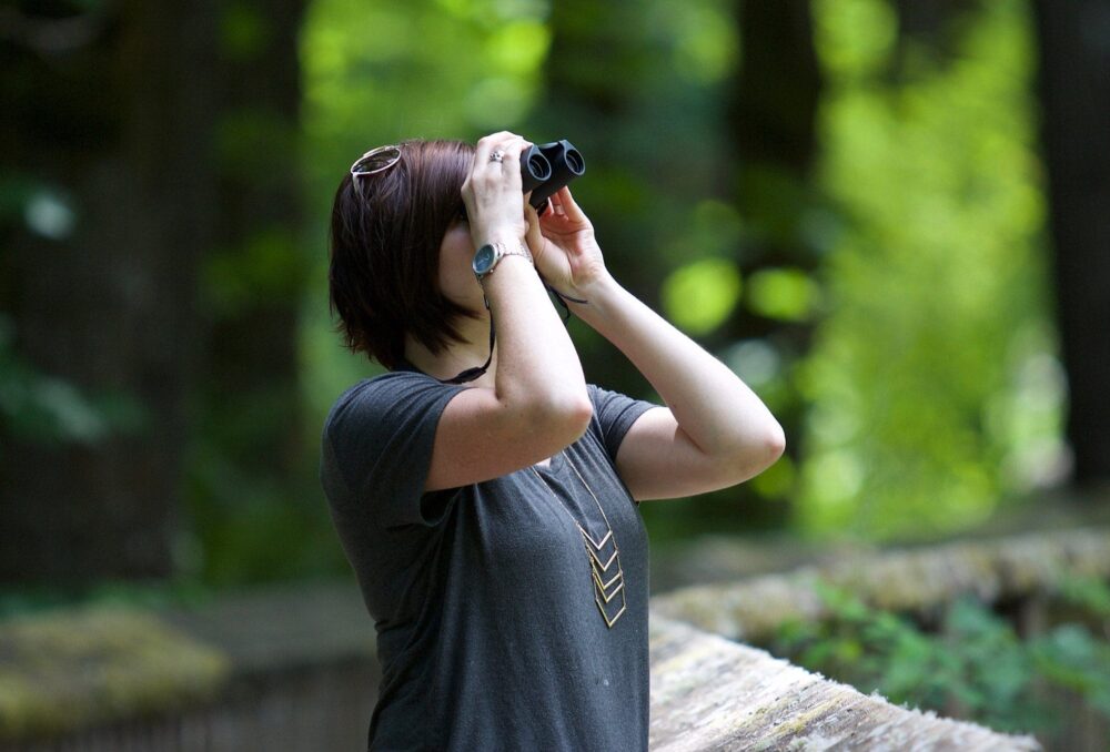 C'est la saison des oiseaux, et les oiseaux de toutes sortes sont en mouvement. 