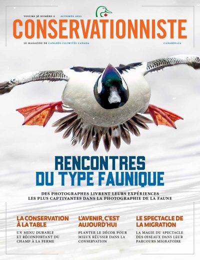 Le Conservationniste
