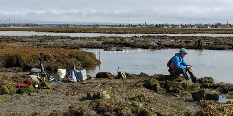 Impacts sur la biodiversité