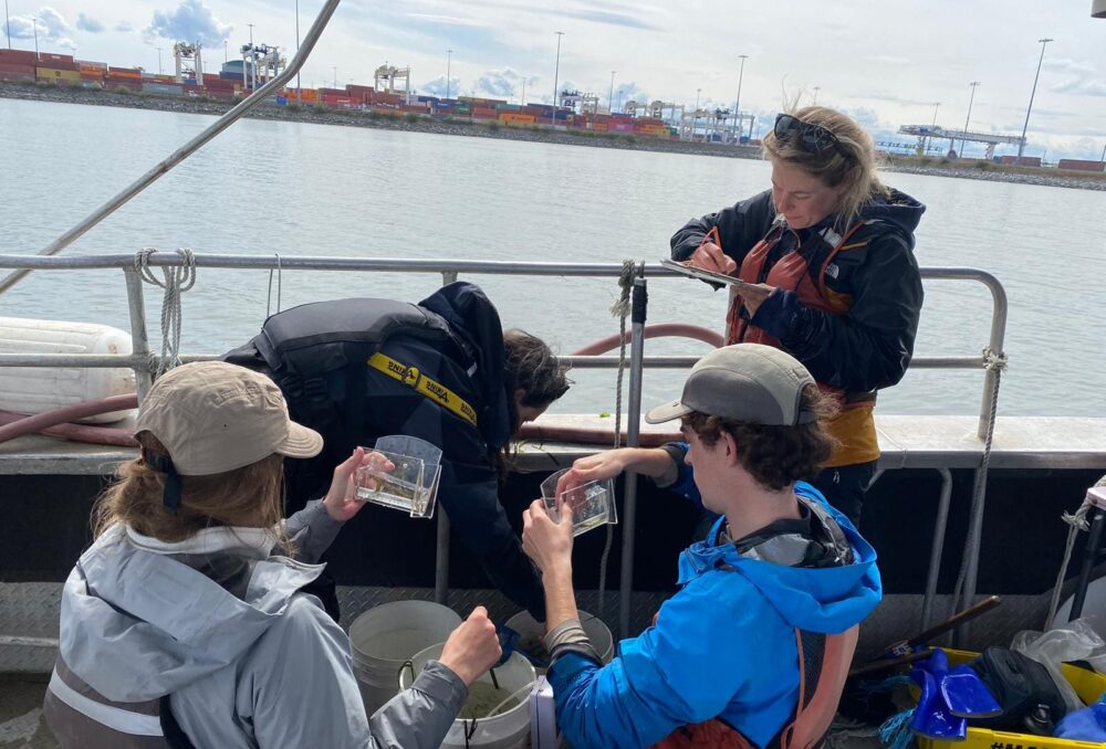 L’équipe en train de répertorier et d’enregistrer ses observations de poissons (de gauche à droite : Lauren Mitchell, Taylor Marriott, Jack Hall et Paige Roper)