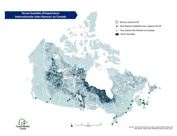 CIC participe activement à la gestion de la totalité ou d'une partie de 13 des 37 sites Ramsar du Canada et a participé à neuf autres sites.