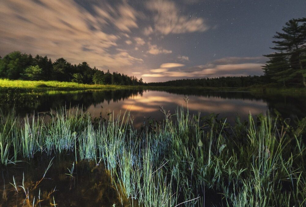 Une milieux humide dans le parc national Kejimkujik, en Nouvelle-Écosse. 