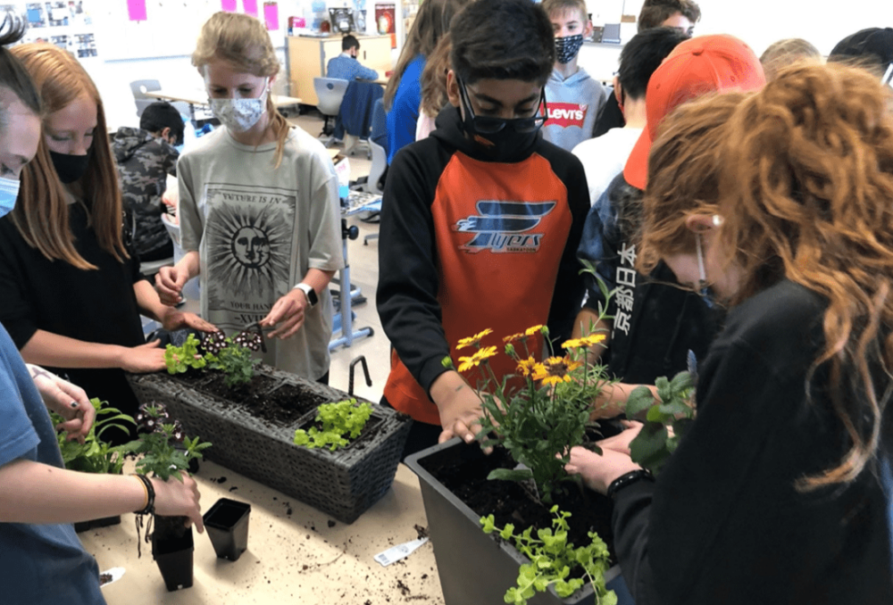 Des élèves du CEMH de Saskatoon travaillent sur leurs jardinières pour pollinisateurs.