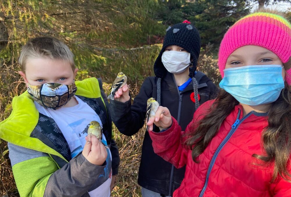 Des élèves bénévoles de l'école publique de Kerns aident à baguer les oiseaux chanteurs au marais d'Hilliardton WCE.