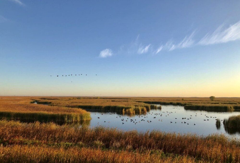 Le bureau national de CIC est situé au marais Oak Hammock. Une grande partie de ce site a été restaurée par CIC, puis désignée site Ramsar en raison de son importance internationale en tant qu'aire de reproduction et de repos pour la sauvagine et d'autres oiseaux migrateurs.
