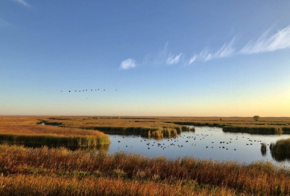 Le bureau national de CIC est situé au marais Oak Hammock. Une grande partie de ce site a été restaurée par CIC, puis désignée site Ramsar en raison de son importance internationale en tant qu'aire de reproduction et de repos pour la sauvagine et d'autres oiseaux migrateurs.  