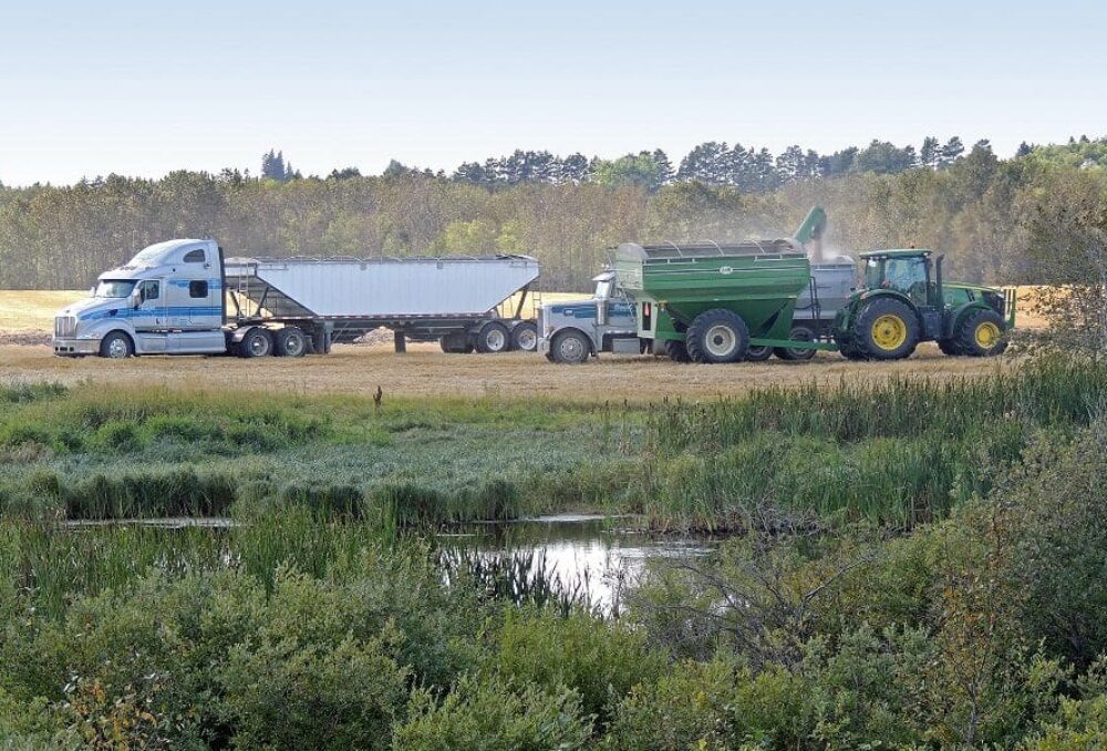 CIC collabore avec les agriculteurs et les éleveurs pour s’assurer qu’ils ont l’aide et les ressources pour exercer les activités dans lesquelles ils excellent. 