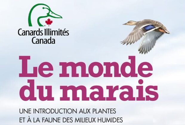 Le monde du marais : Une introduction aux plantes et à la faune des milieux humide