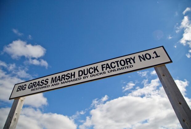 Là où tout a commencé :  Marais Big Grass, Manitoba