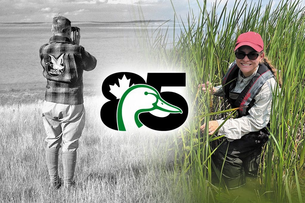 Ducks Unlimited Canada then and now
