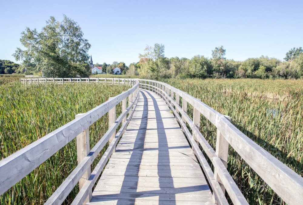 Promenade de bois au parc de la sauvagine de Sackville.