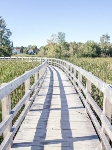 Sackville, Nouveau Brunswick : La première ville de milieux humides d’Amérique du Nord