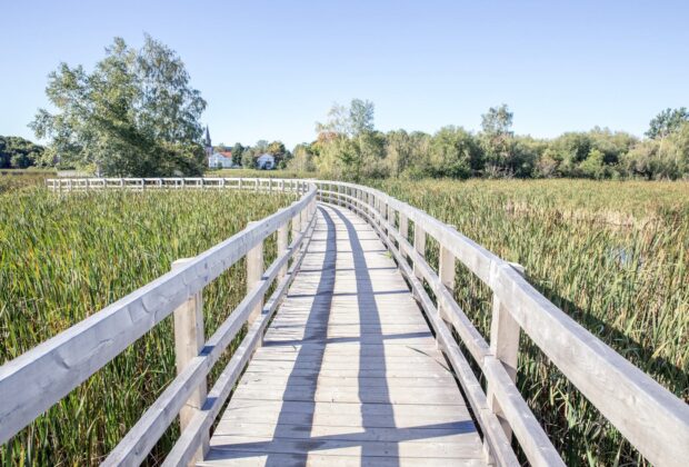 Sackville, Nouveau Brunswick : La première ville de milieux humides d’Amérique du Nord