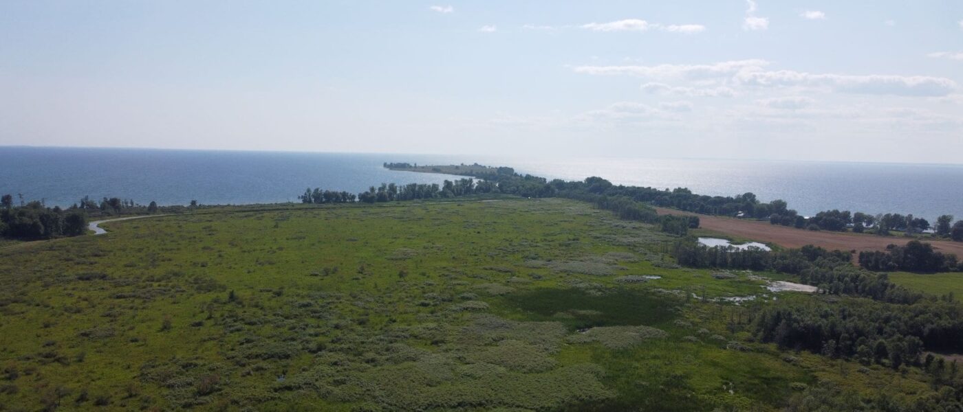 Vue aérienne du marais de LaSalle avec vue sur le lac Ontario (2021)