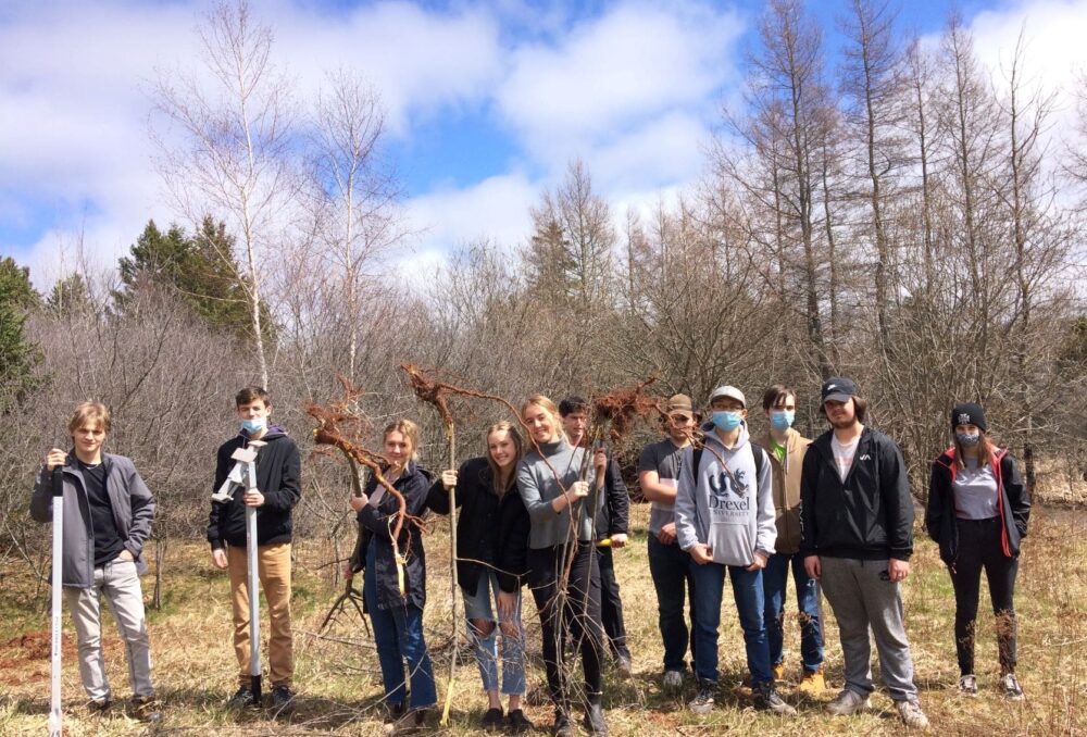 Des étudiants du CEW de Charlottetown enlevant du nerprun près de Charlottetown (Î.-P.-É.)