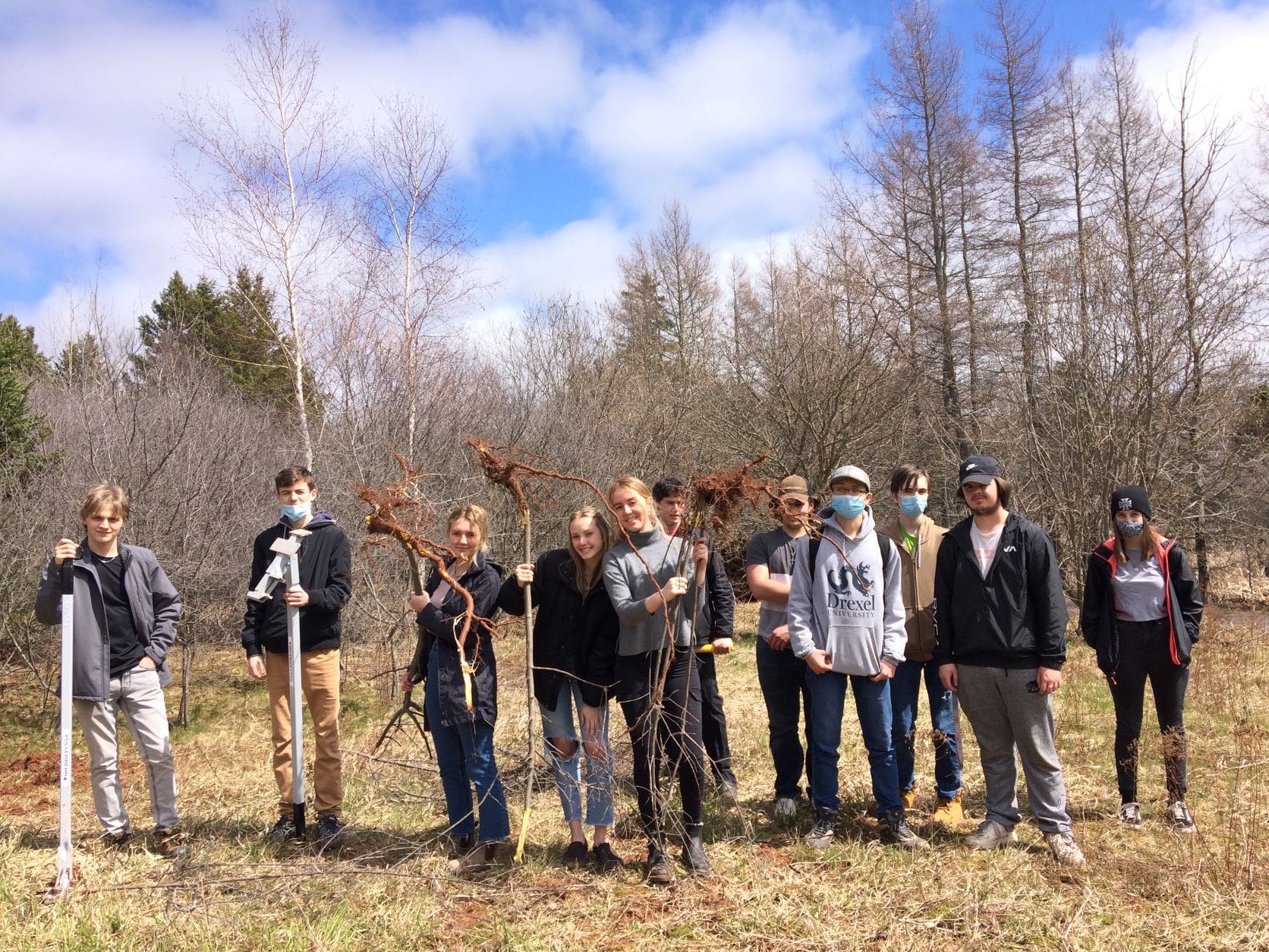 Des étudiants du CEW de Charlottetown enlevant du nerprun près de Charlottetown (Î.-P.-É.)