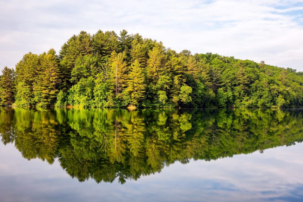 Un lac dans la région boréale du centre de l'Ontario