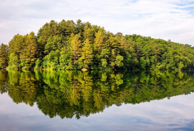 Une eau propre et une économie propre : Canards Illimités Canada se réjouit des nouveaux investissements dans la protection de l’eau douce dans le budget fédéral de 2023