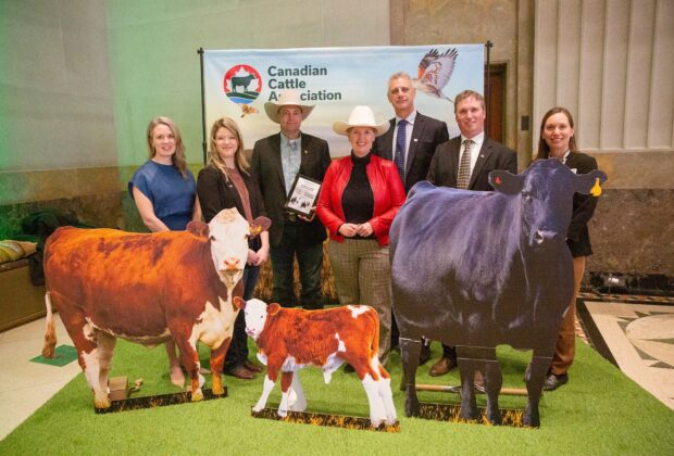 La Table ronde canadienne sur le bœuf durable reçoit le tout premier Prix de distinction en conservation de CIC
