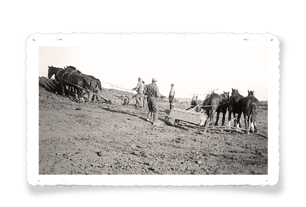 Construction du marais de Waterhen, 1938