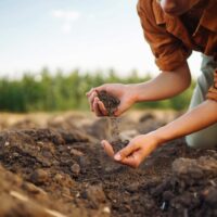 Prévention de l'érosion et promotion de la santé des sols