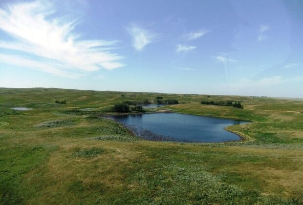 Partenaires pour la conservation : protéger les prairies restantes de l’Alberta