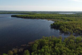 Canards Illimités Canada et ses partenaires ajoutent 100 hectares protégés le long de la rivière des outaouais