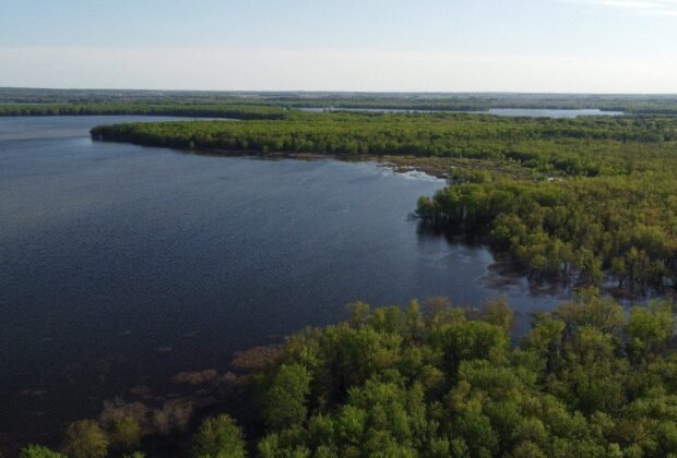 Canards Illimités Canada et ses partenaires ajoutent 100 hectares protégés le long de la rivière des outaouais